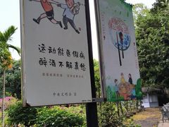 -海口火山口国家地质公园