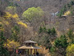 -九如山休闲旅游度假区