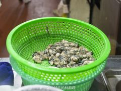 -建国蚵煎蚵面