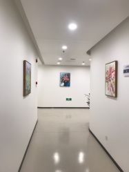 点击看大图 -丰联丽格医疗美容·联合丽格眼整形中心
