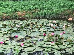 -盘龙城国家考古遗址公园