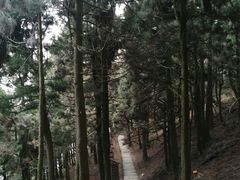 -南岳衡山风景名胜区