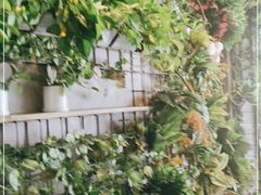 -芭缇沁园椰子鸡(中航紫金新天地店)