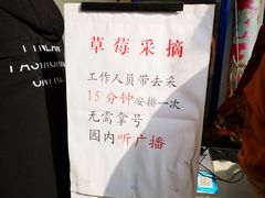 -小鱼草莓采摘园农家乐·小鱼餐厅