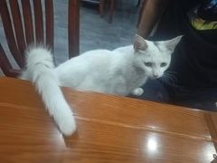 -岳合轩老北京涮肉