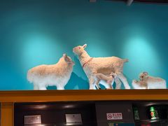 -大白羊蝎子馆(后沙峪山姆店)