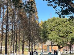 -东钱湖旅游度假区