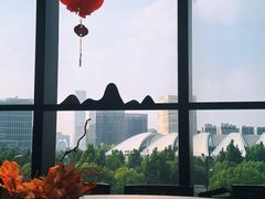 -凤凰湘语(浦东旗舰店)