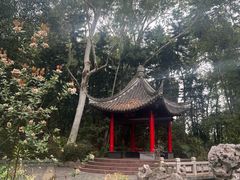 -深圳国际园林花卉博览园