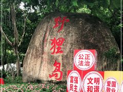 -野狸岛