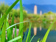 -崇圣寺三塔文化旅游区