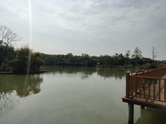 -大湾区中央湿地公园