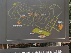 -汉拿树木园