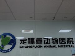 -宠福鑫动物医院(城北分院)