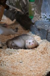 -Zoolung Zoolung动物主题公园(海信广场店)