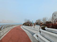 -星光岛