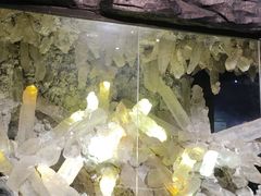 -湖南省地质博物馆