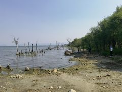 -洱海月湿地公园