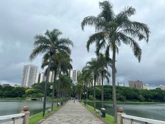 -南宁南湖公园