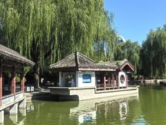 -团结湖公园