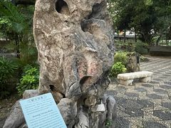 -九龙寨城公园