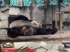 -栾川竹海野生动物园