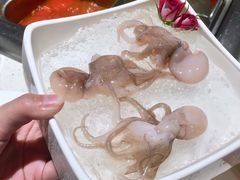 -海底捞火锅(龙岗星河COCO Park店)