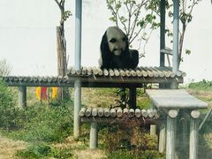 -苏州太湖国家湿地公园