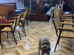 -宅基地桌游CLUB(对外经贸店)