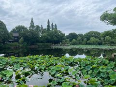 -无锡蠡湖国家湿地公园-蠡园