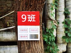 -北京大学燕东园