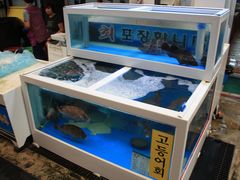 店内环境-西归浦每天偶来市场