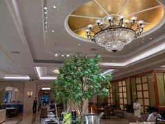 -锦粤宫·精致粤菜(深圳北站店)