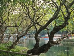 -晓港公园