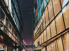 -三里屯东五街银杏大道
