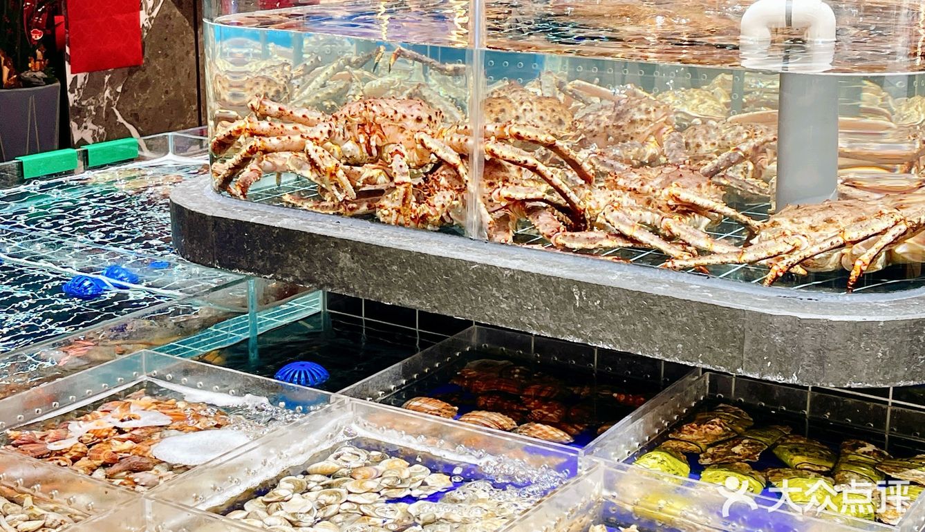 春节不打烊🏮大杨浦这家店救了我‼️