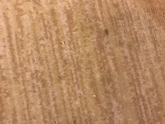-诸暨耀江开元名都大酒店