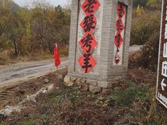 -老张烤羊(王哥庄店)