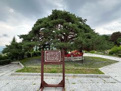 -延吉东来寺
