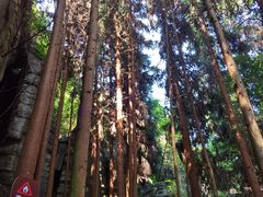 -梭布垭石林景区