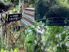 -呀诺达热带雨林