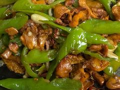 -蘑统田下·野生菌火锅