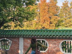 -名树园