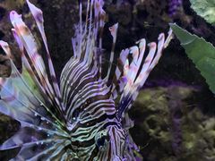 -太平洋海底世界