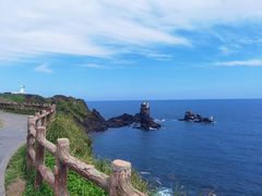 -涉地可支