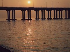 -宝安西湾红树林湿地公园