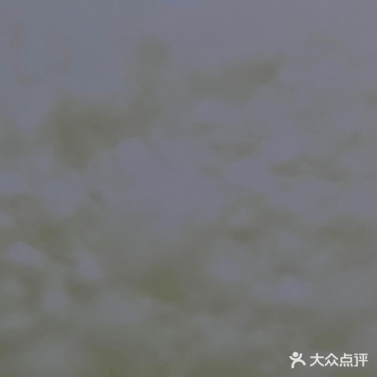 上海终于有一个值得反复来的美术馆map