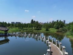 -眉山湿地公园(东坡区)