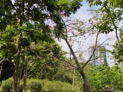 景点-晓港公园