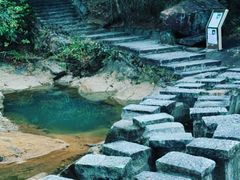 -广州白江湖森林公园